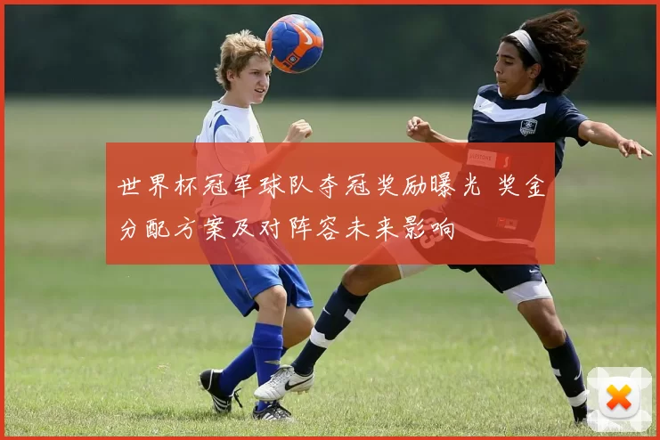 世界杯冠军球队夺冠奖励曝光 奖金分配方案及对阵容未来影响